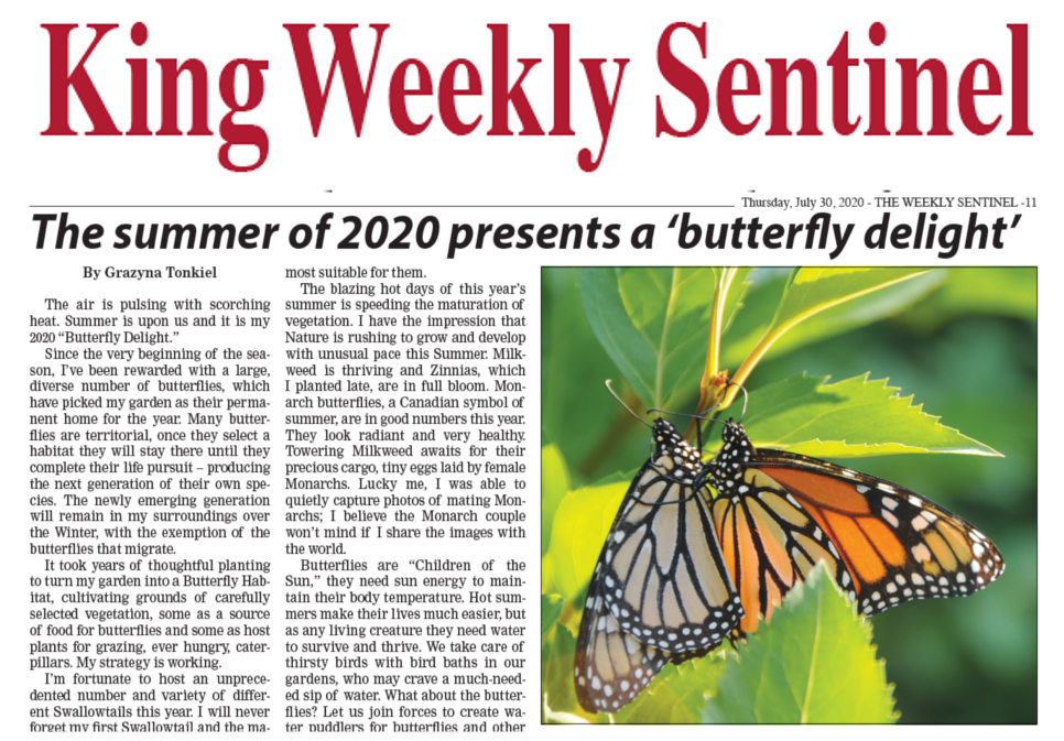article-pic